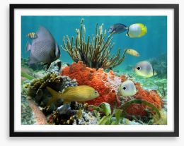 Underwater Framed Art Print 45134680
