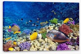 Life on the coral atoll Stretched Canvas 45134706