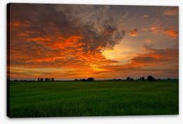 Sunsets Stretched Canvas 453129323