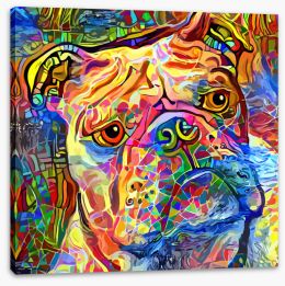 Animals Stretched Canvas 453447098