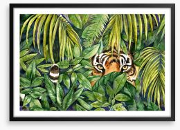Eye spy tiger Framed Art Print 454194933