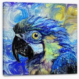 Birds Stretched Canvas 454784845
