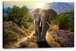 Elephant stroll Stretched Canvas 45496510