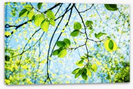 Fresh green spring Stretched Canvas 45529105