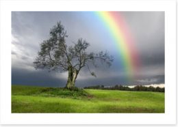 Rainbow over the olive tree Art Print 45729800