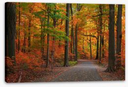 Autumn Stretched Canvas 458083798