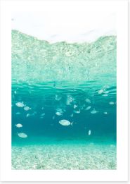 Underwater Art Print 458124303