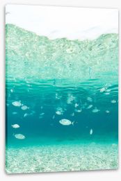 Underwater Stretched Canvas 458124303