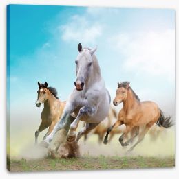 Running horses Stretched Canvas 45838292