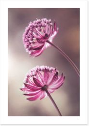 Flowers Art Print 458564200