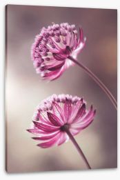 Flowers Stretched Canvas 458564200