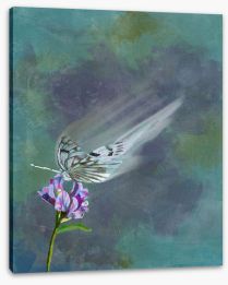 Butterflies Stretched Canvas 458623550