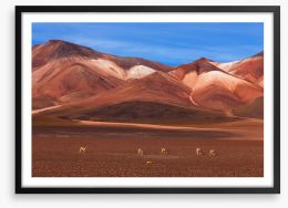 Desert Framed Art Print 45921781