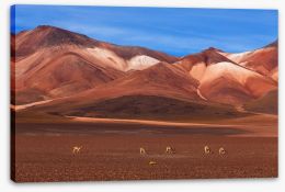 Desert Stretched Canvas 45921781