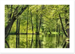Forests Art Print 459357905