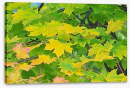 Leaves Stretched Canvas 45987864