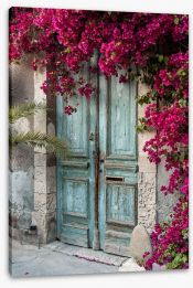 Old wooden door with bougainvillea Stretched Canvas 46023269