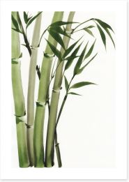 Elegant bamboo Art Print 46031571