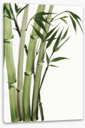 Elegant bamboo Stretched Canvas 46031571