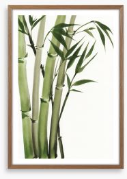 Elegant bamboo Framed Art Print 46031571