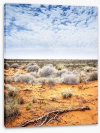Outback Stretched Canvas 46276409