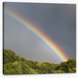 Rainbows Stretched Canvas 46349808