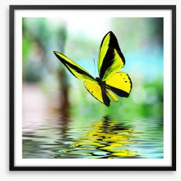 Butterfly reflections Framed Art Print 46364384