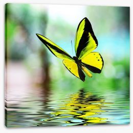 Butterflies Stretched Canvas 46364384