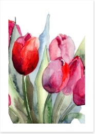 Watercolour tulips Art Print 46368305