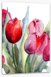 Watercolour tulips Stretched Canvas 46368305