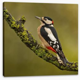 Birds Stretched Canvas 46387353