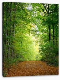 Green forest clearing Stretched Canvas 46460628
