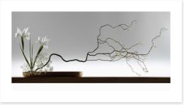 Ikebana Art Print 46823309