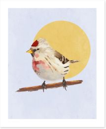 Birds Art Print 470913336