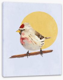 Birds Stretched Canvas 470913336