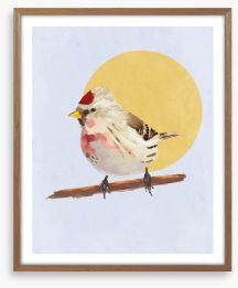 Birds Framed Art Print 470913336