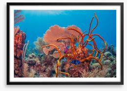 Underwater Framed Art Print 471155160