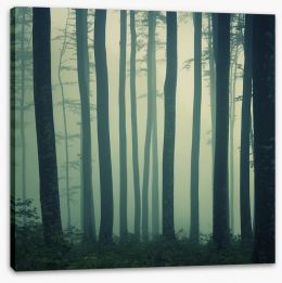 Mystic foggy beech forest Stretched Canvas 47119267