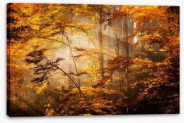 Autumn Stretched Canvas 47162004