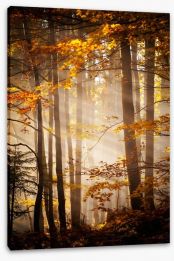 Sunlight in the Autumn woods Stretched Canvas 47162125