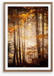 Sunlight in the Autumn woods Framed Art Print 47162125