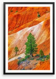 Bryce Canyon greens Framed Art Print 472874606