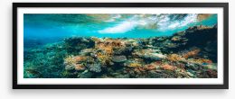 Underwater Framed Art Print 473834570