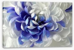 Flowers Stretched Canvas 473887794