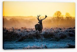 Deer in the mist Stretched Canvas 47402407