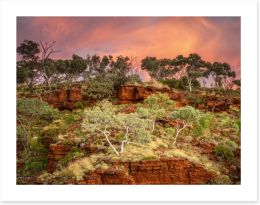 Outback Art Print 475071661