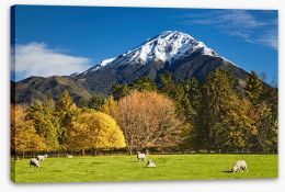 New Zealand Stretched Canvas 478072232