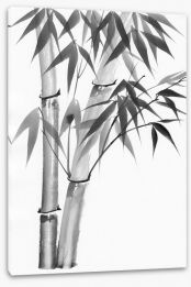 Bamboo watercolour Stretched Canvas 48154647