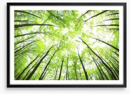 Green forest canopy Framed Art Print 48198194
