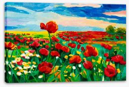 Poppy fields Stretched Canvas 48240226